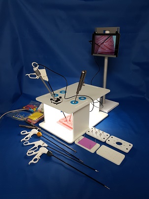 laparoskopi eğitim eğzersiz kutu